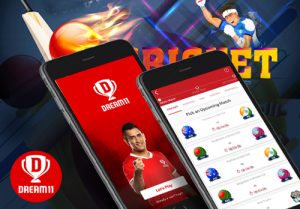 cost to develop app like dream11