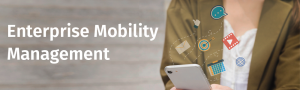 Enterprise-Mobility-Management-Today’s-Evolution-Tomorrow’s-Solution